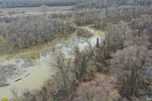 Шапсугское водохранилище, вид сверху